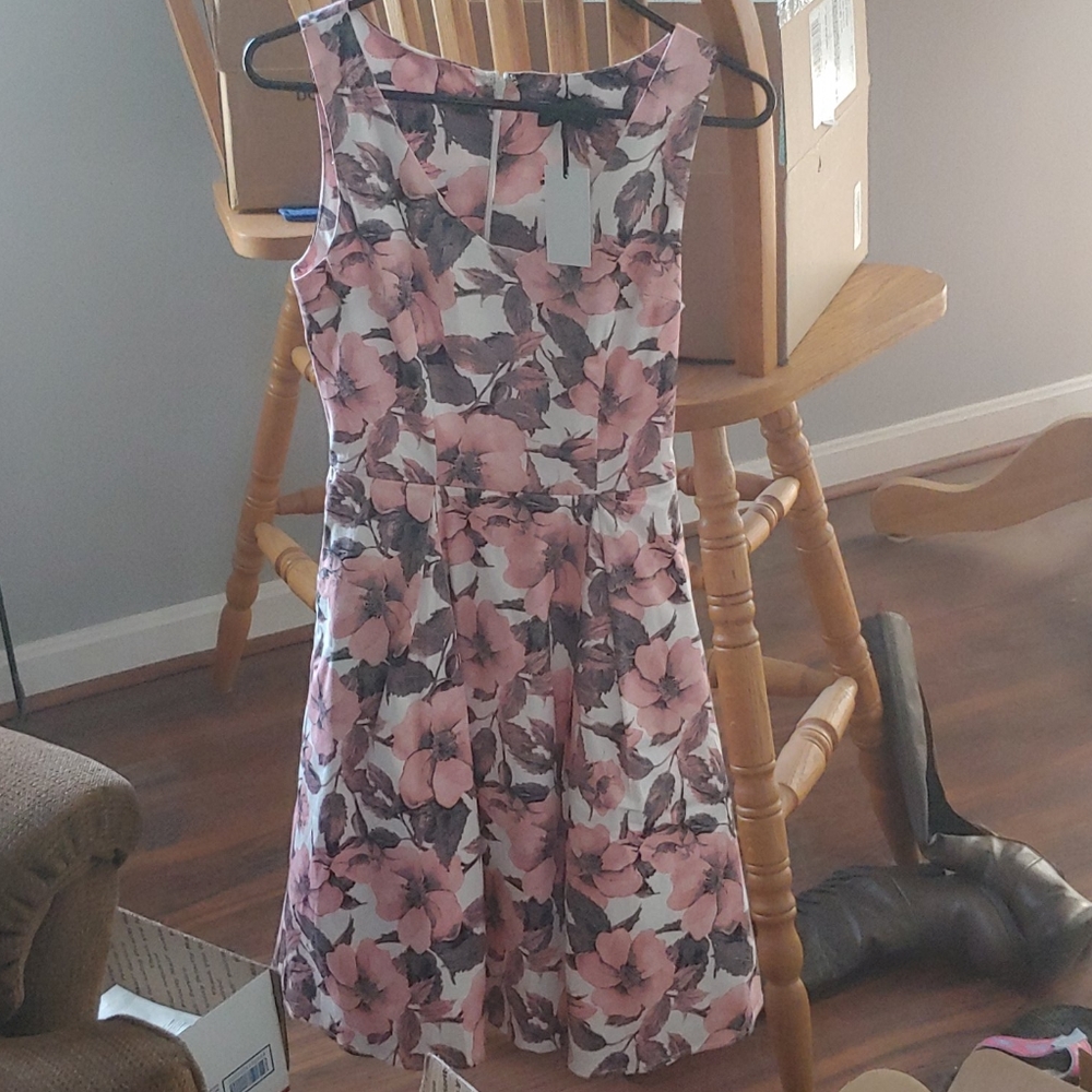 Nwt Liza Luxe pink floral dress xs